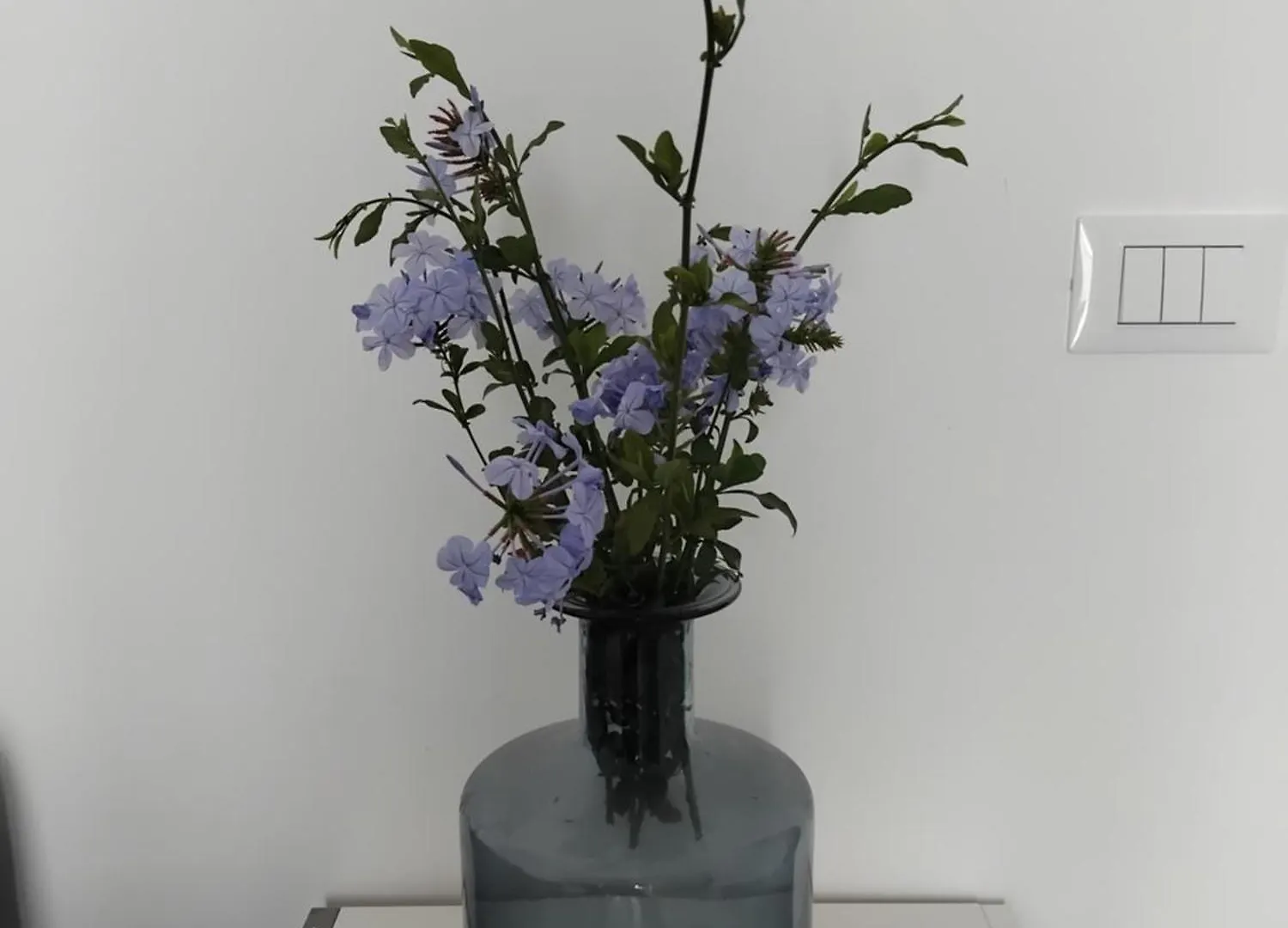 דירות אונינה Il Campo Blu איטליה